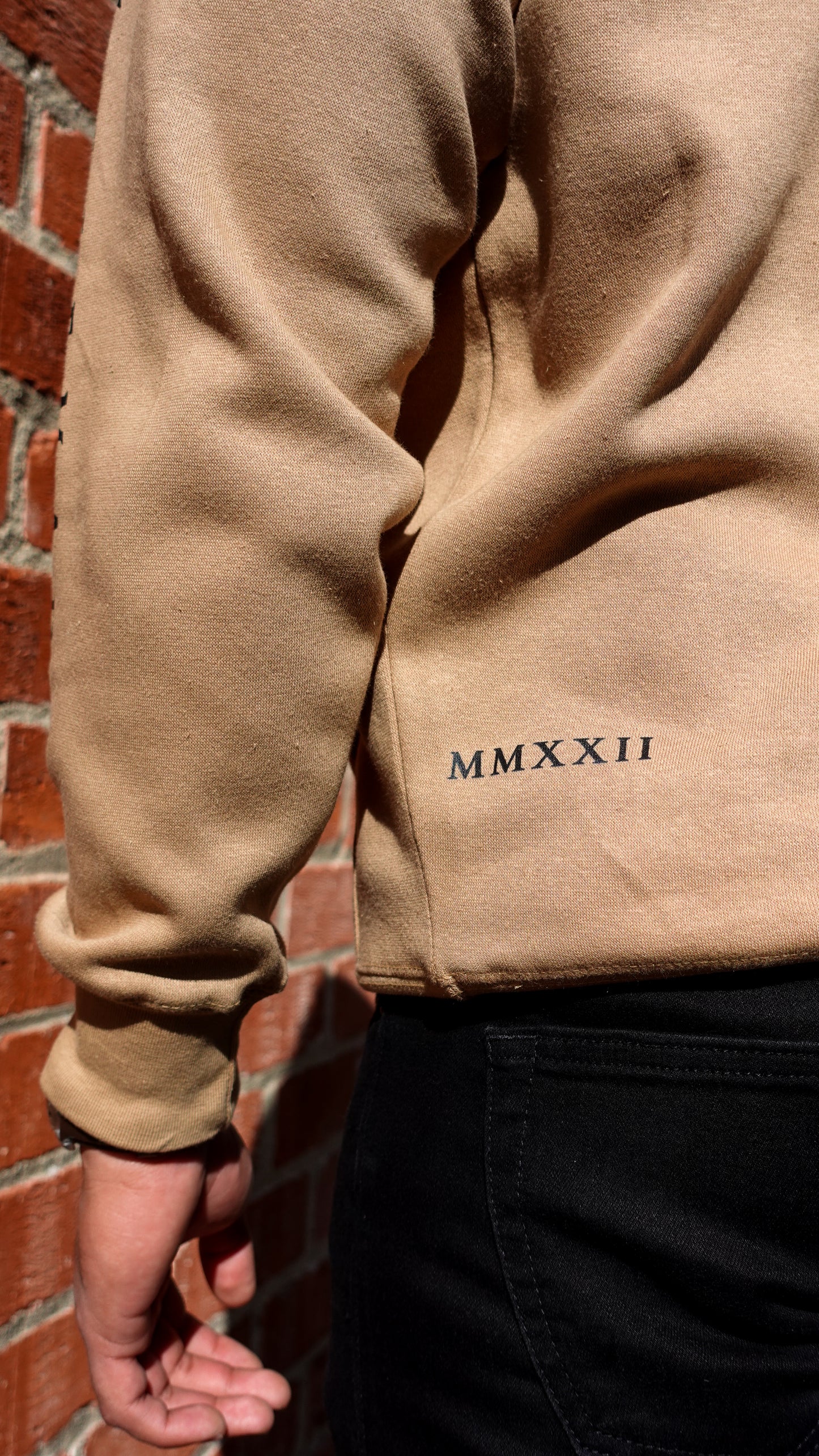 Trident Hoodie Tan & Black